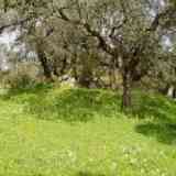 Click para ampliar. BARCARROTA - Tumulo dólmen de Rocamador. Badajoz